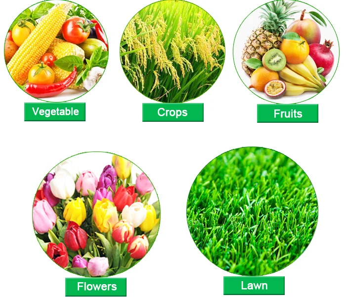 Ammonium sulfate.png