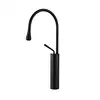 High Arch Black Basin Faucet with Drop Shape Outlet Black Water Basin Mixer Tap