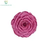 Factory wholesale 9-10cm preserved rose head everlasting flower for decoration Giant gift box of immortal flowers