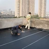 Walls Sheets Roof Asphalt waterproofing membrane Price