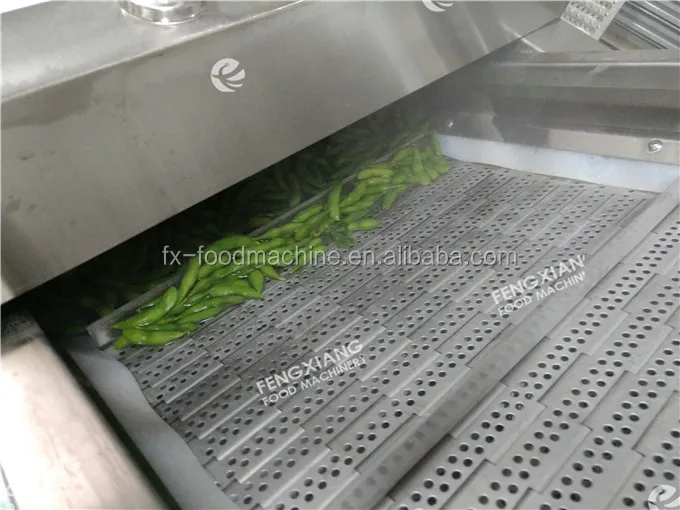 PT-2000 Industrial Automatic Vegetable Blanching Machine