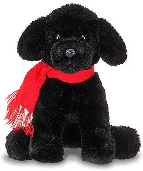 black teddy dog