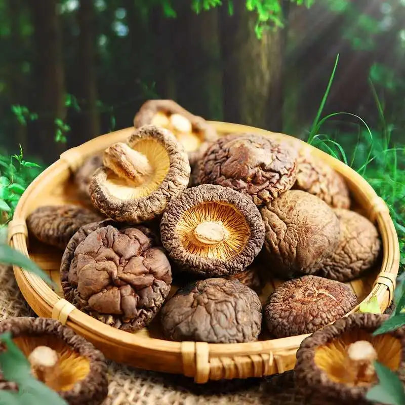 Wholesale High Quality Natural Dried Shiitake Mushroom Prices Shiitake