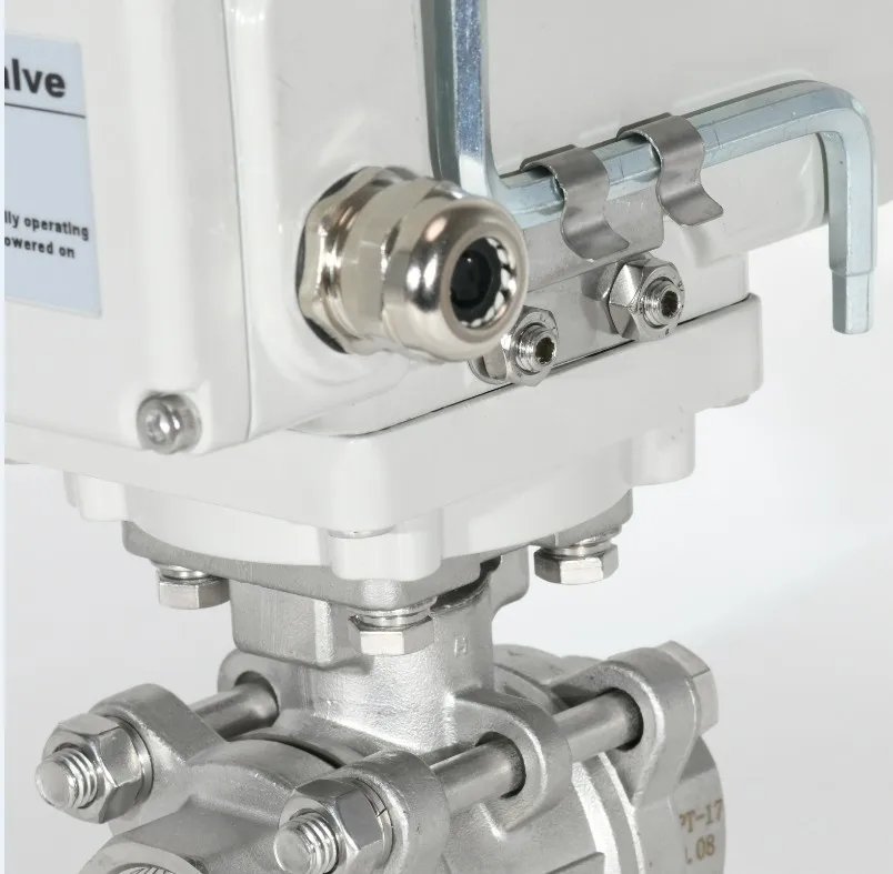 electric valve.JPG