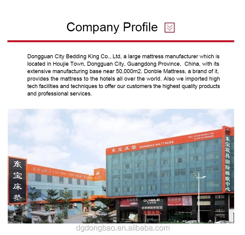 company introduction.jpg