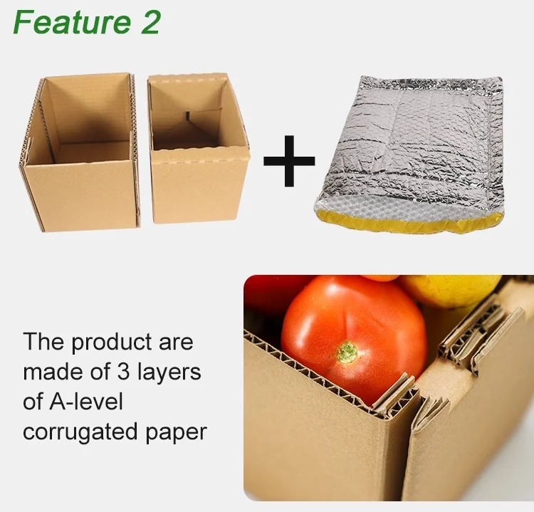 Insulated Cardboard Cooler Box For Doorstep Milk Delivery Buy