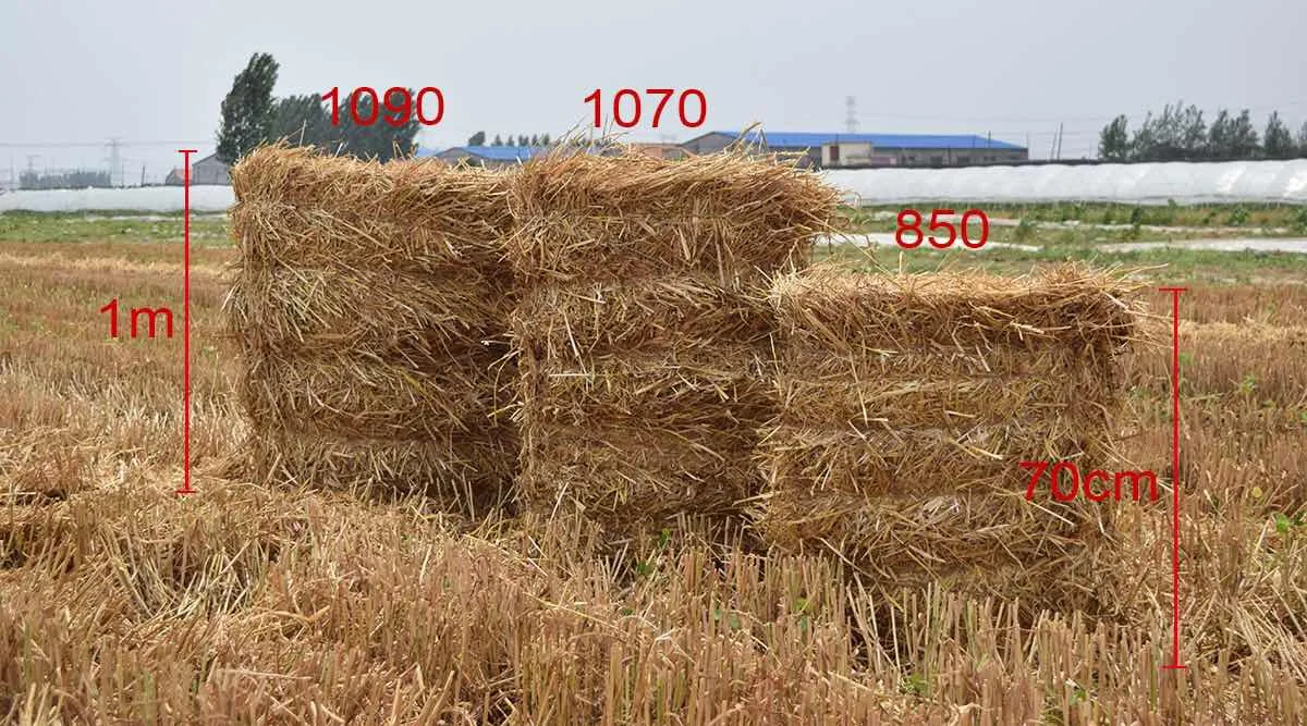 hay bale (2)