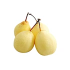 Wholesale high quality and good price organic fresh pure natural pear