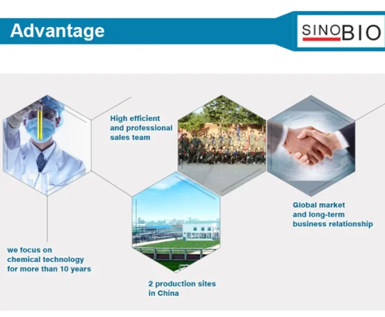 paste-pic-dp_uuid_vijq5