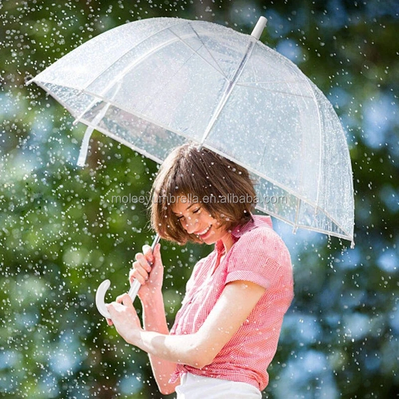 bubble umbrella (1).jpg