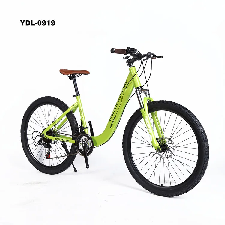 17 inch bike