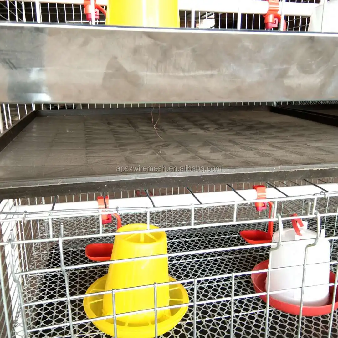 Jaula De Doble Sistema Para Aves De Corral,Para Pollos De 1 A 60 Días - Buy  Pequeño Bebé Aves De Corral Pollo Jaula,Las Chicas De Pollo Jaula De Pollos  Y Gallinas,Galvanizado En