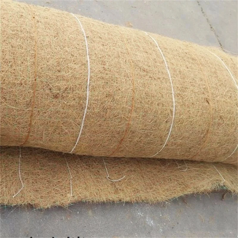 Coir Mesh Coir Matting Erosion Control Coconut Erosion Control Blanket