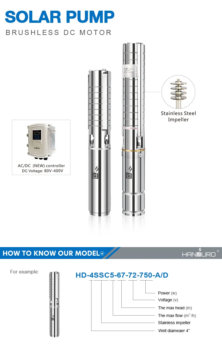 P10-4SSC_02-