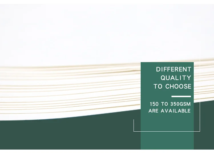 2 Coffee Paper Cup Fan.png