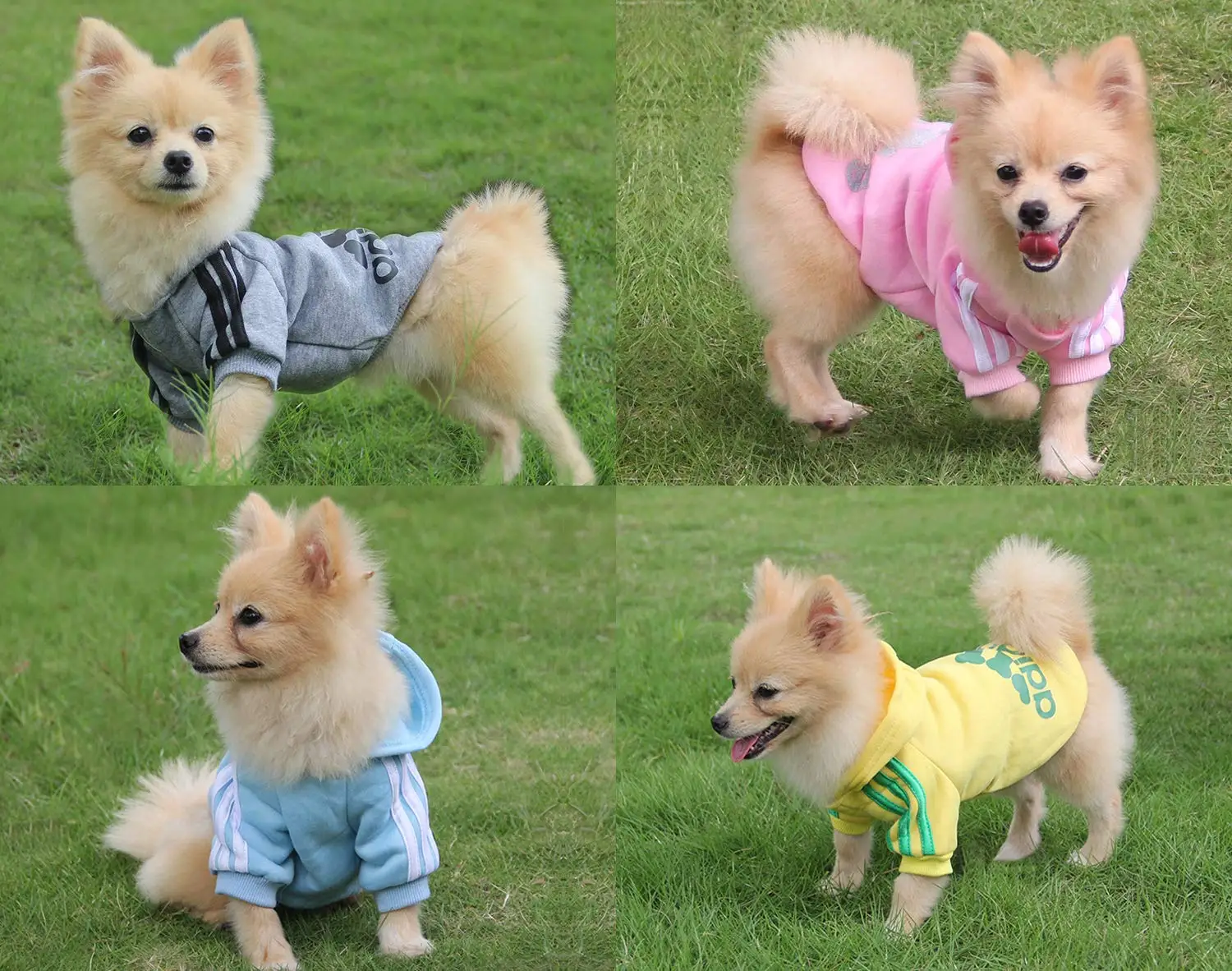 Dog Clothes Winter Pet Clothing Chihuahua Ropa Perro French Bulldog Coat Shirt Solid Sweatshirt For Dogs Pets Costume