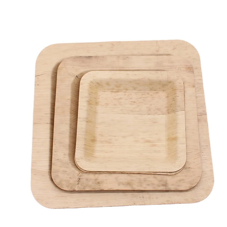 square disposable dinner plates