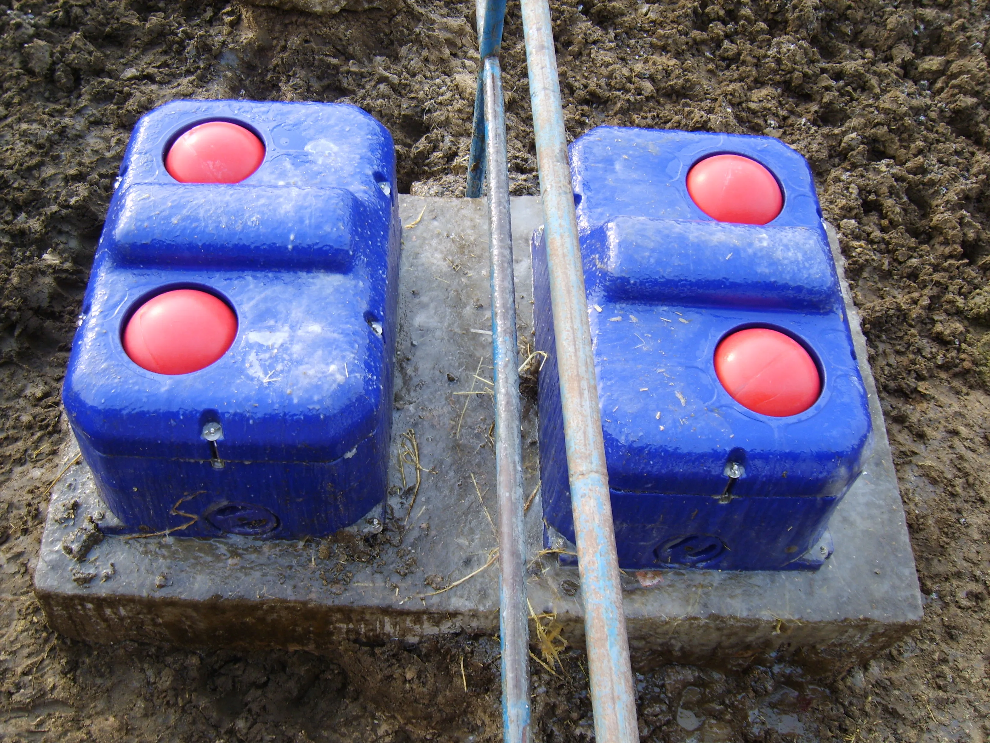 Plastic Automatic Livestock Water Troughs Two Balls With Cover