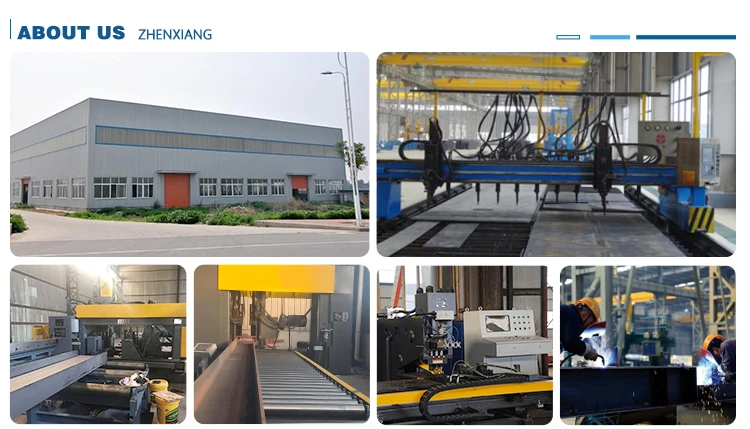 Chicken Poultry Farm House Building Design Prefab Modern Farming