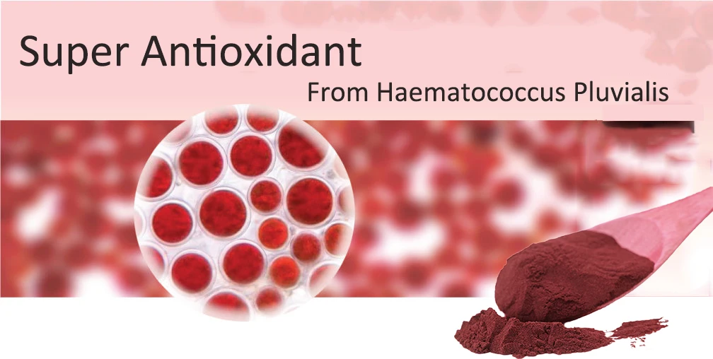 100 Pure Natural Astaxanthin Powder 1kg Price Haematococcus Pluvialis