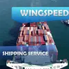 Shenzhen Shipping Container Agent To Fba Usa--Skype:nora_3861