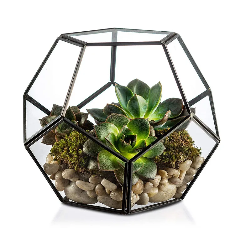 Artdragon Microlandschaft Geometric Terrarium Glass Supplier Glass Cactus Terrarium For Succulent Garden Buy Clear Geometric Glass Terrarium Geometric Glass Terrarium Supplier Glass Rose Gold Terrarium Product On Alibaba Com