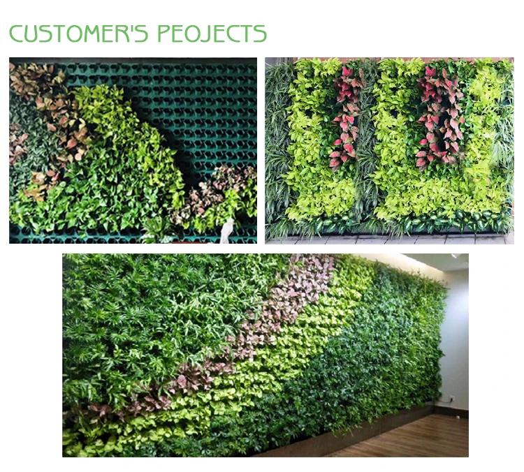 Vertical Garden Modules Vertical Green Wall System Hanging Wall Pot ...