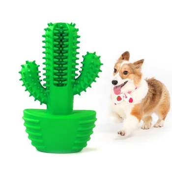 garcia the cactus dog toy