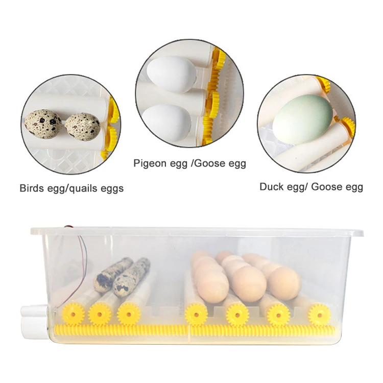 42egg incubator-15.jpg