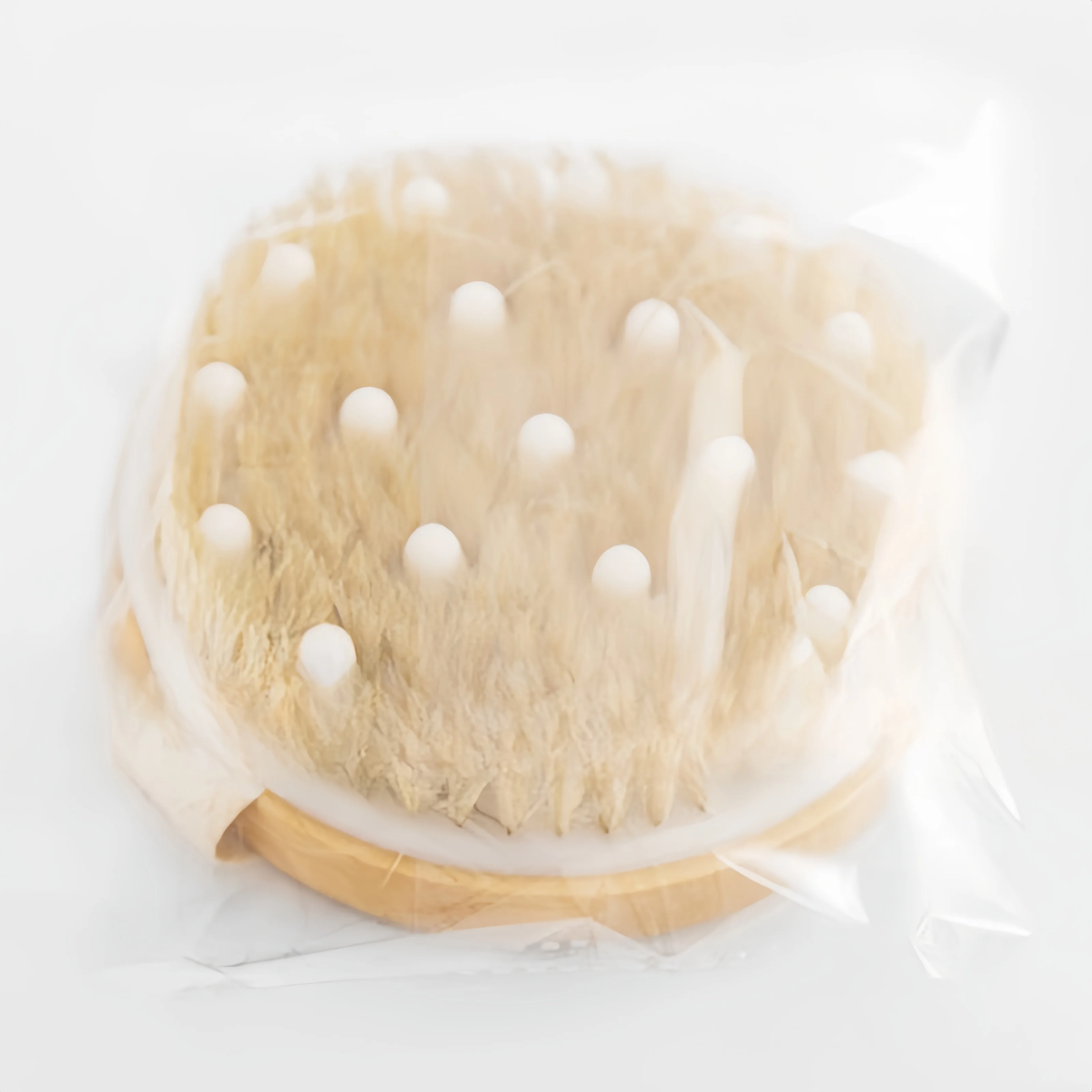 No Mixed Color Soft Natural Boar Bristles Round Body Massager Dry Brush Wood Skin Exfoliating Bathing Brush for SPA Shower details
