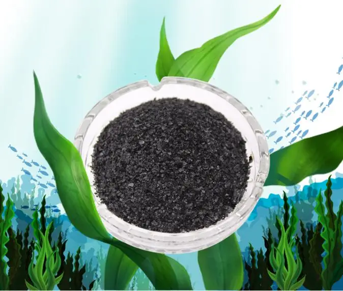 Free Sample Customised Organic Sargassum Seaweed Fertilizer