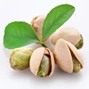 LOW RATE RAW pistachio inshell close