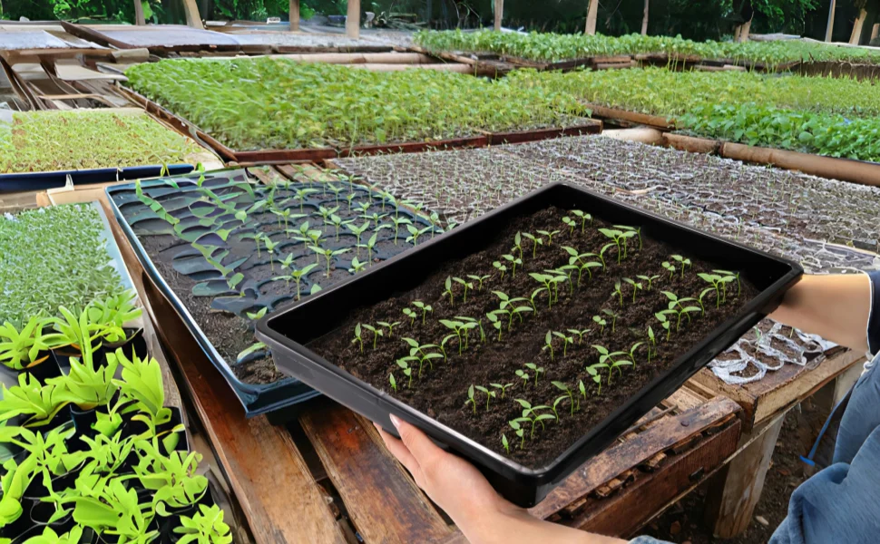 A-ONE Heavy Duty Eco-friendly Hydroponic Seed Tray Microgreens Rice Garden PP Plastic 1-3L Capacity Rectangular Nursery Trays details