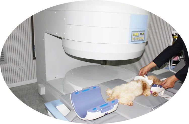 MY-W067 MRI Machine Magnet strength 0.35T 0.5T veterinary MRI Scanner machine price