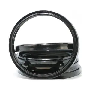Japan oil seal O ring for Haitian injection molding machine