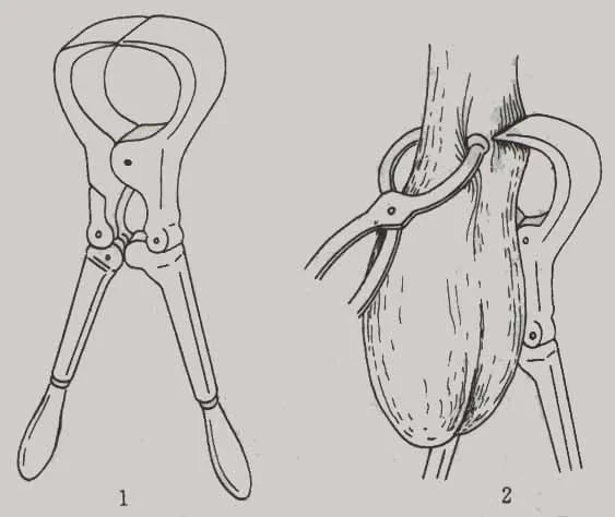 piglet castration instruments castration equipment too