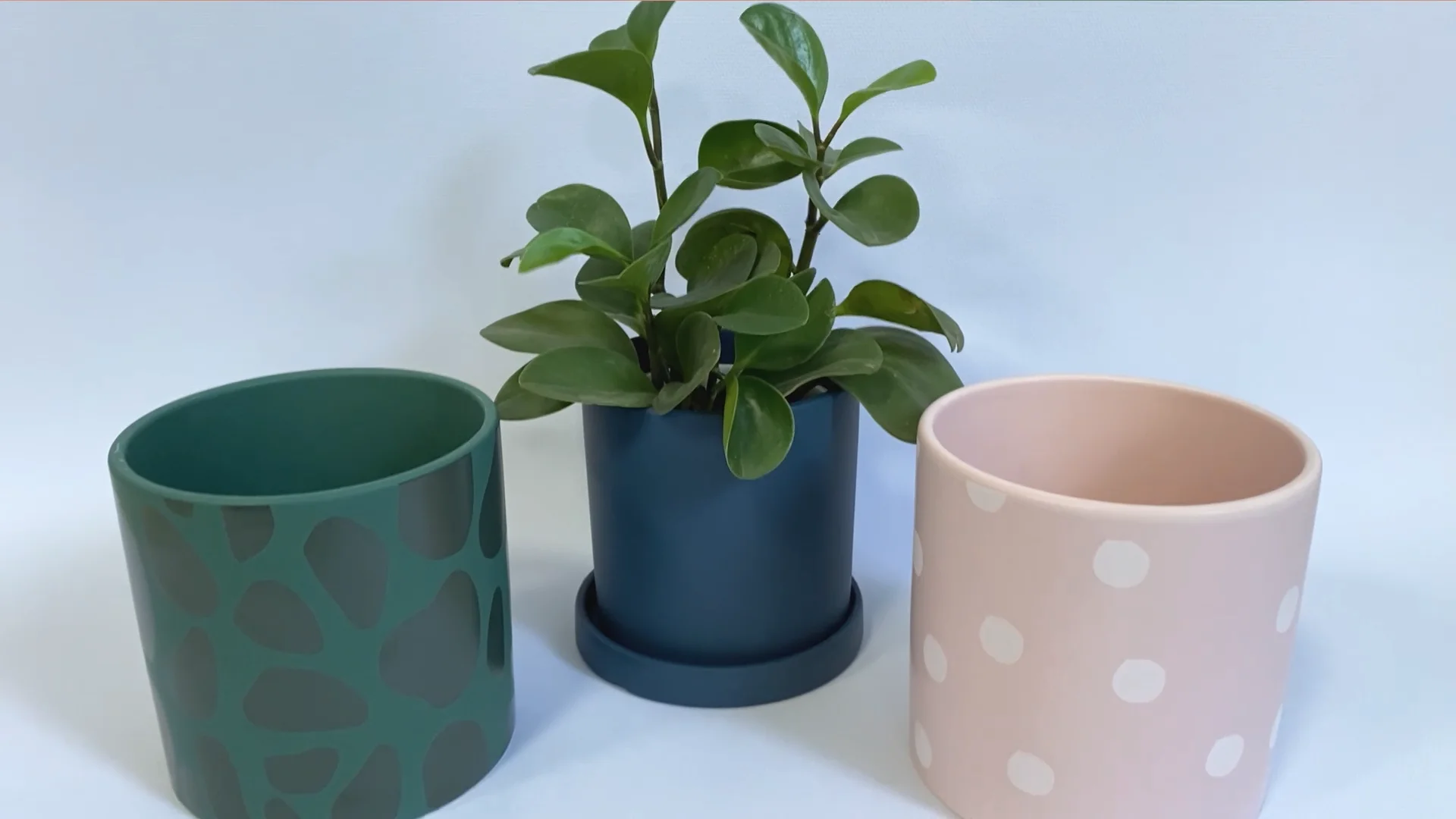 unique mini plant pots flowerpot marble plant pot white ceramic