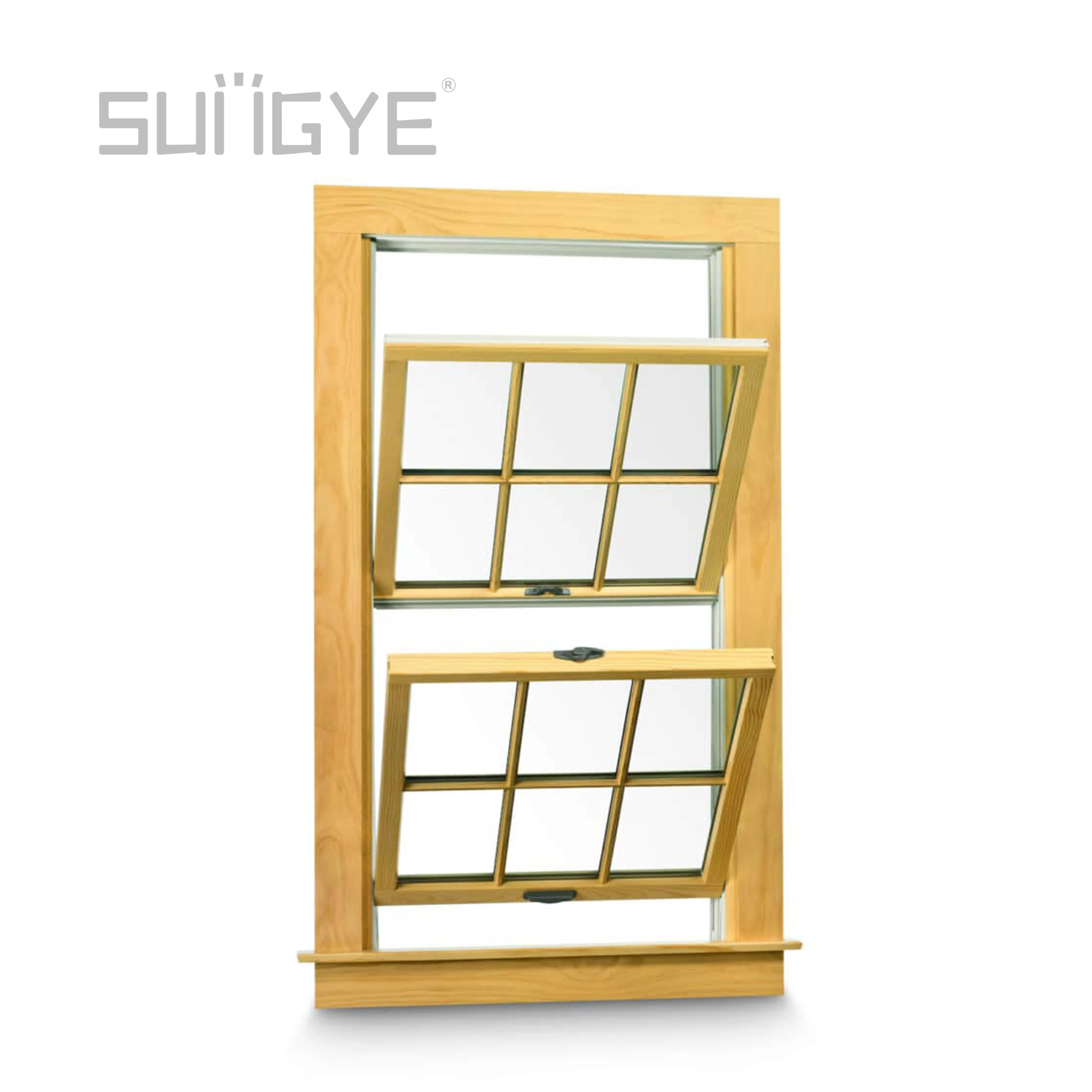 Double Hung Window Treatments Noise Reduction Blinds Inside Grid Patterns Security Sash Double