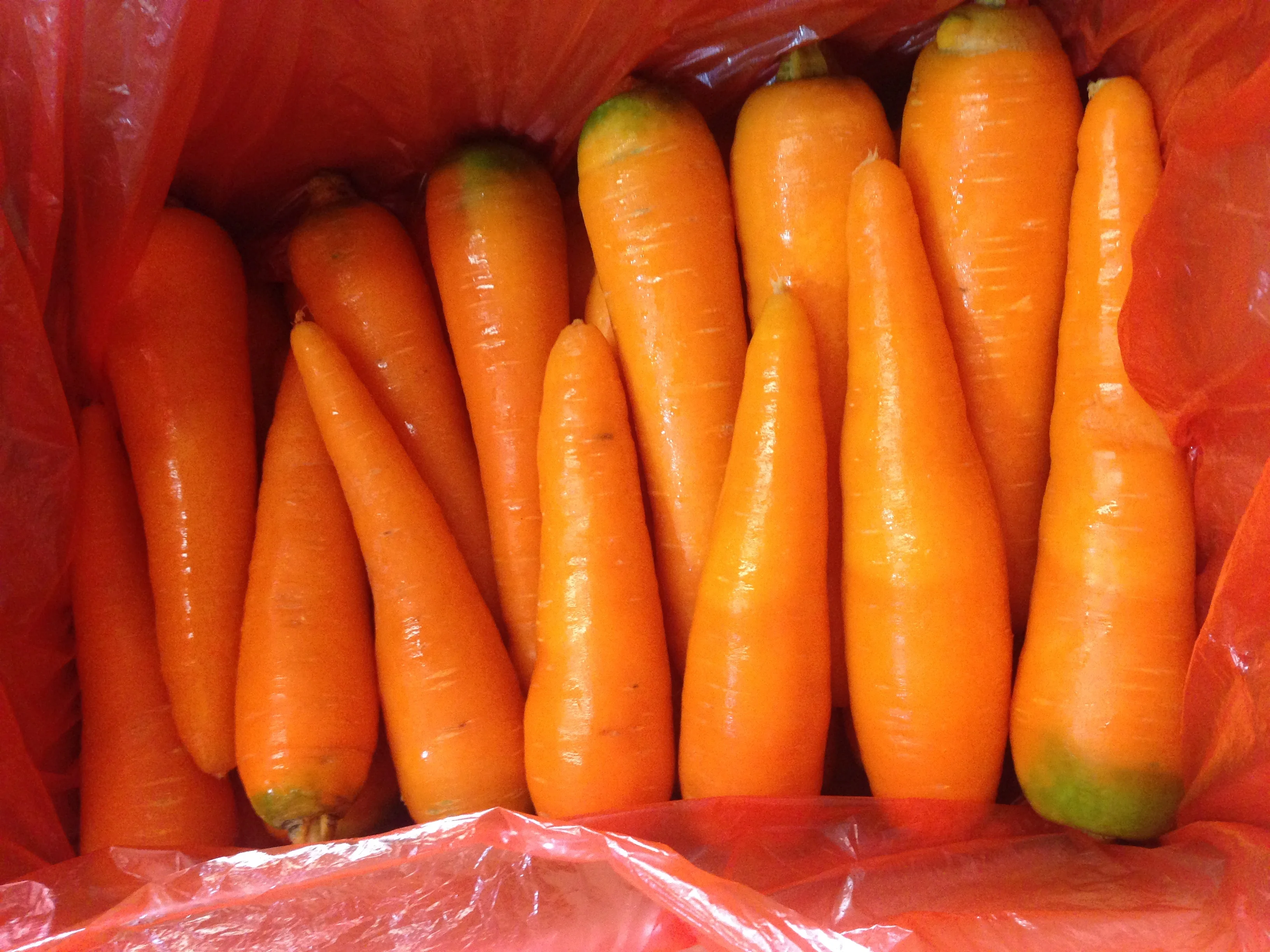 新鲜胡萝卜越南尺寸 s-m-l1-l2 新作物 2020