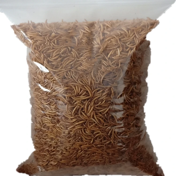Reptile food or feed