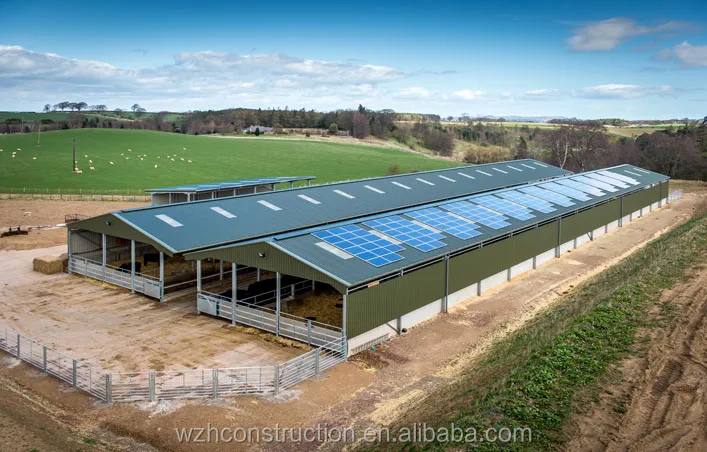 Low Cost Customized Steel Structure Cattle Shed Farm House - Buy Live ...