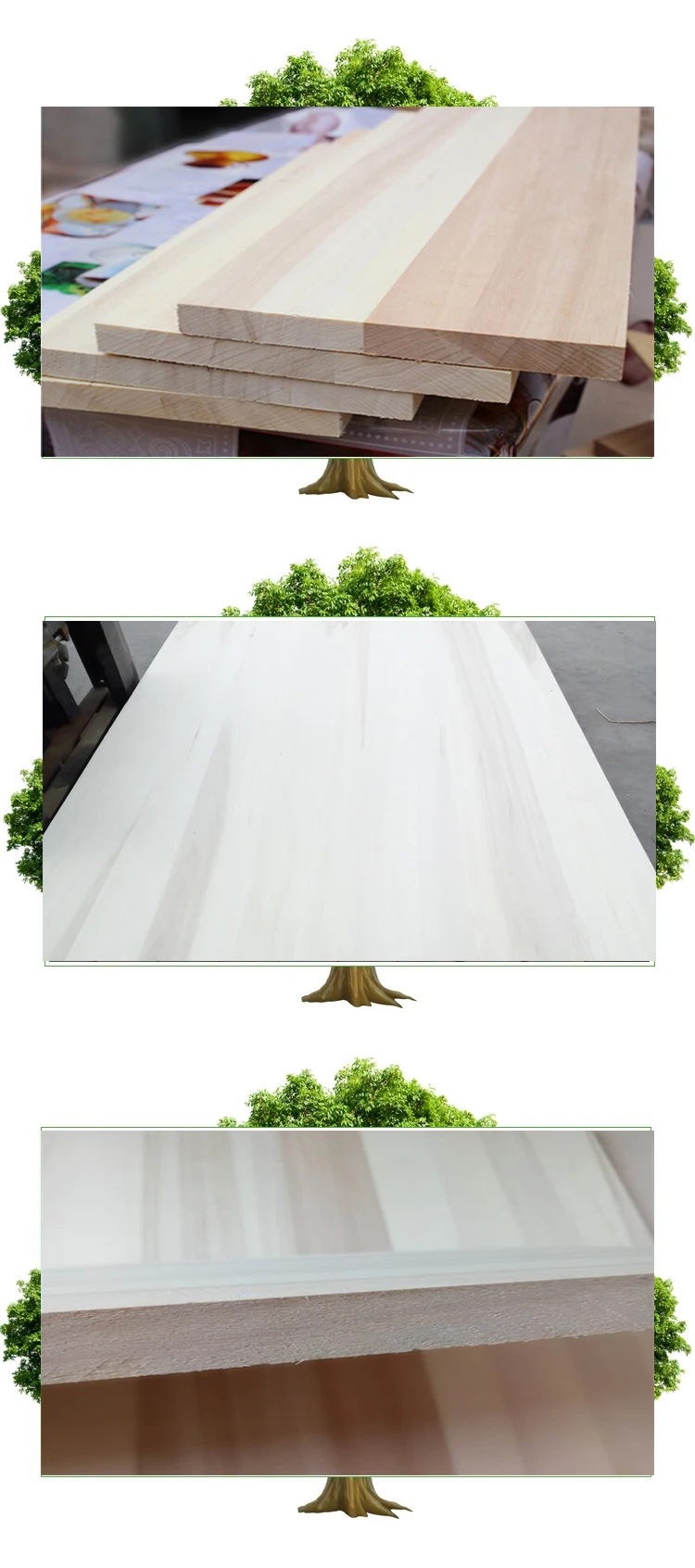 poplar-1 