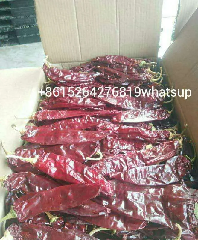 _2020082914123020 - .jpg