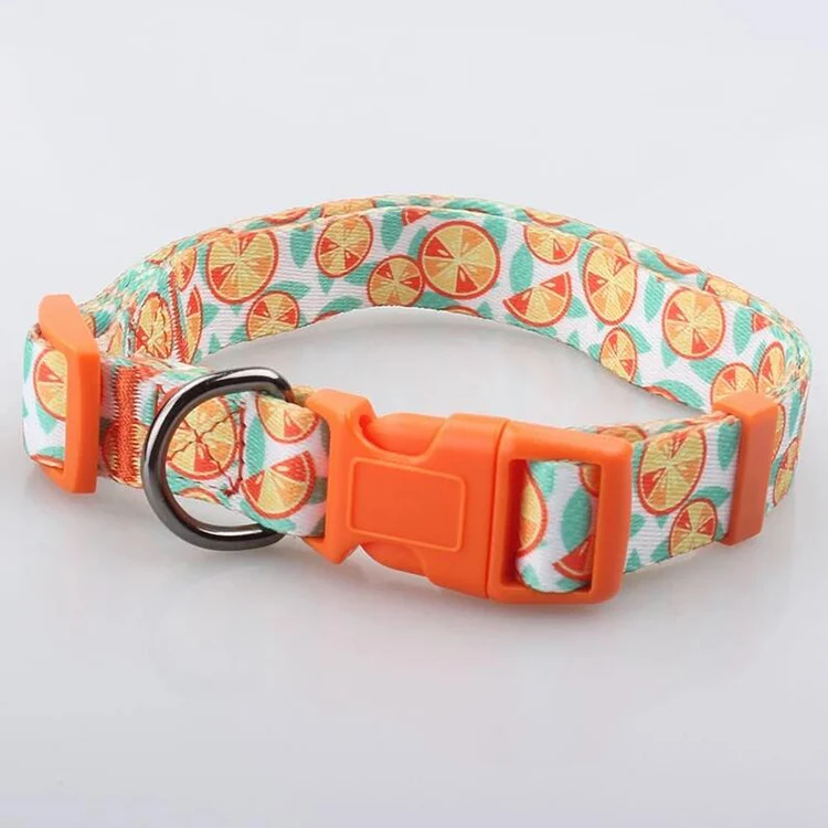 Pet Collar-56