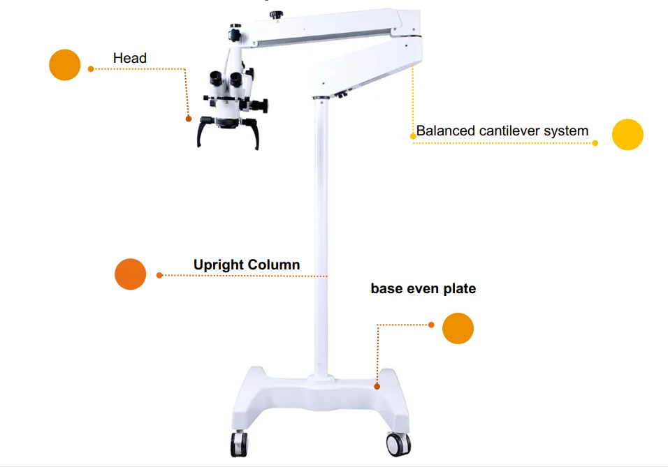 Dental Root Canal Treatment Endo Motor Endodontic For Surgery Binocular