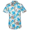 /product-detail/summer-european-and-american-beach-short-sleeve-men-s-size-printed-hawaiian-shirt-62417026389.html