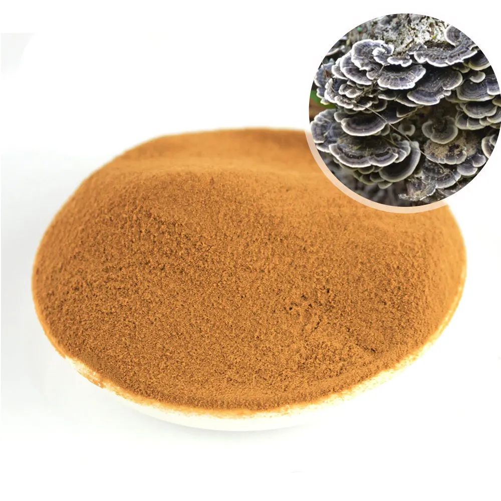 
100% soluble in water Turkey Tail Extract Powder Beta Glucan 50% 