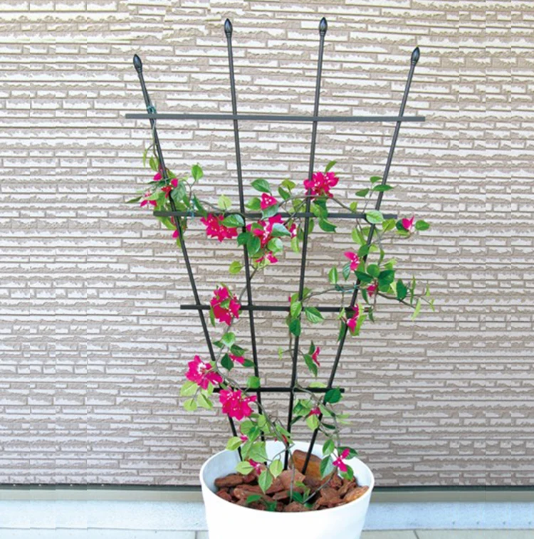 Shaped Garden Trellis (1).jpg