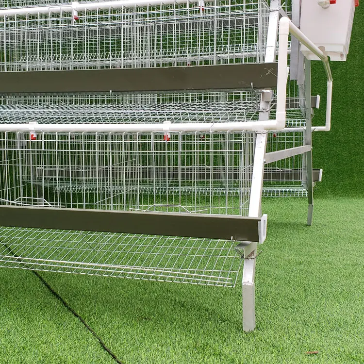 Poultry Animal Husbandry Equipment Q235 Steel Wire Mesh Chicken Layer