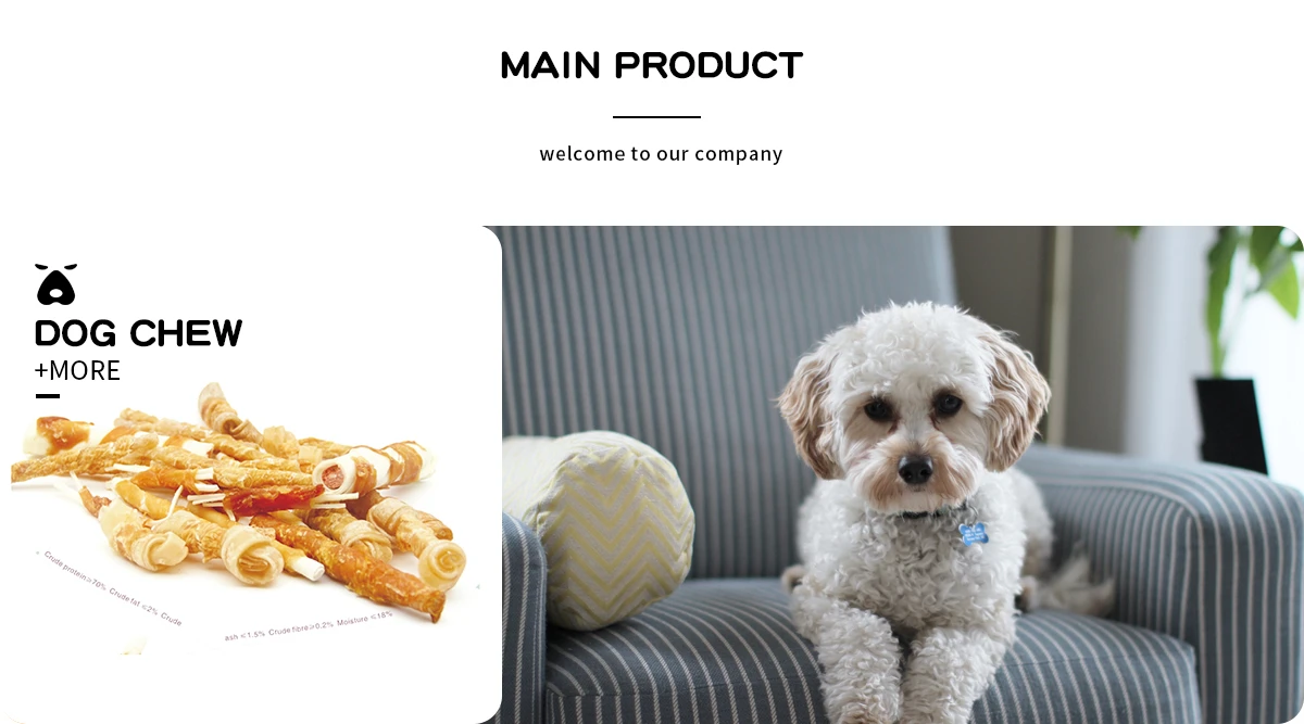 Wenzhou Yuanfei Pet Toy Products Co., Ltd. Collar Leash Harness, Dog